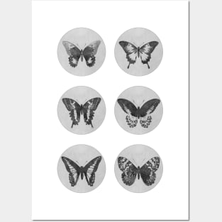 Vintage BUTTERFLIES mega sticker pack monochrome edition Posters and Art